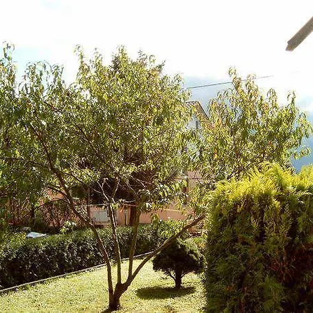 Homestay Haus Zander